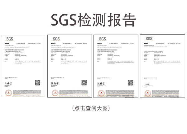 深圳起航-SGSPH剂检测报告